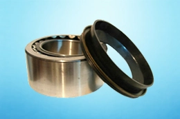 bearing and seal