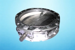  Butterfly Valve 250 Side