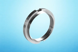 Flange Ring