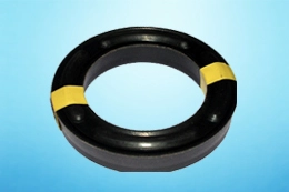 Grooved Ring Sealing Set Schwing