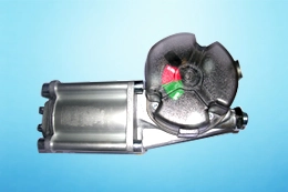 Pneumatic Actuator