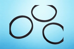 Sealing Ring